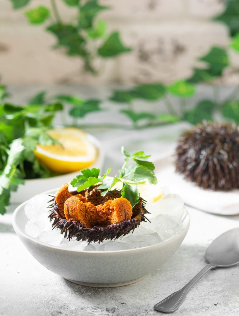 Japanese Bafun Yellow Sea Urchin (Uni) / Narabi - Image 3
