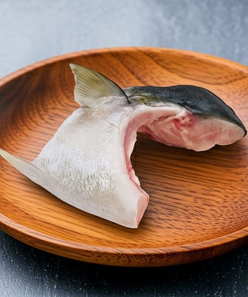 Japanese Yellow-Tail Collar